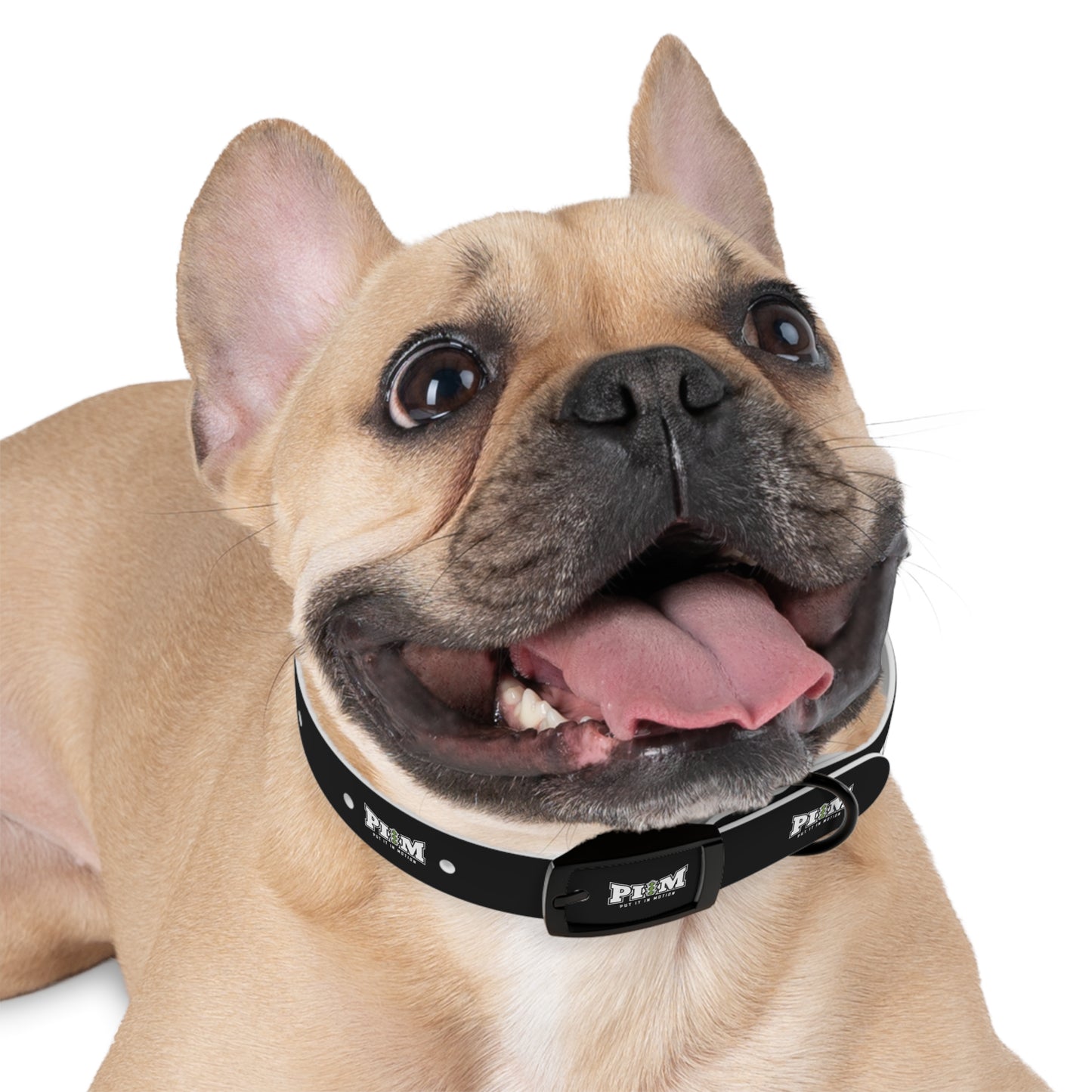 Put It In Motion Dog Collar