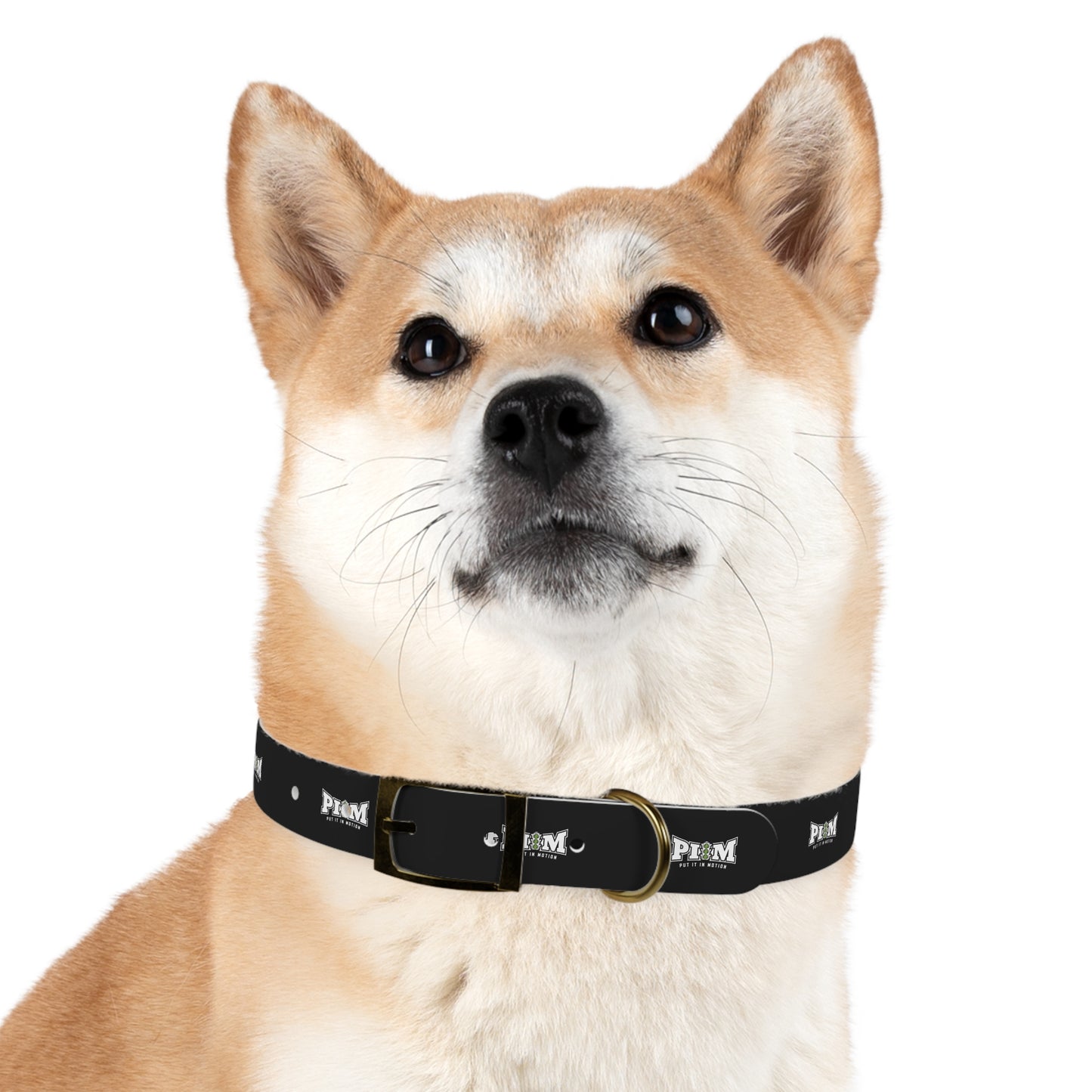 Put It In Motion Dog Collar