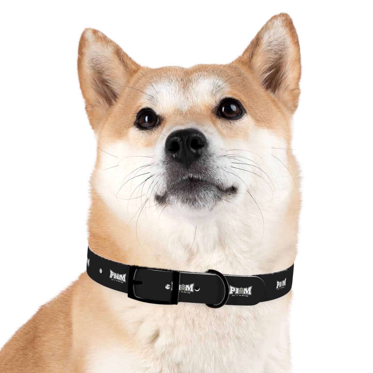 Put It In Motion Dog Collar