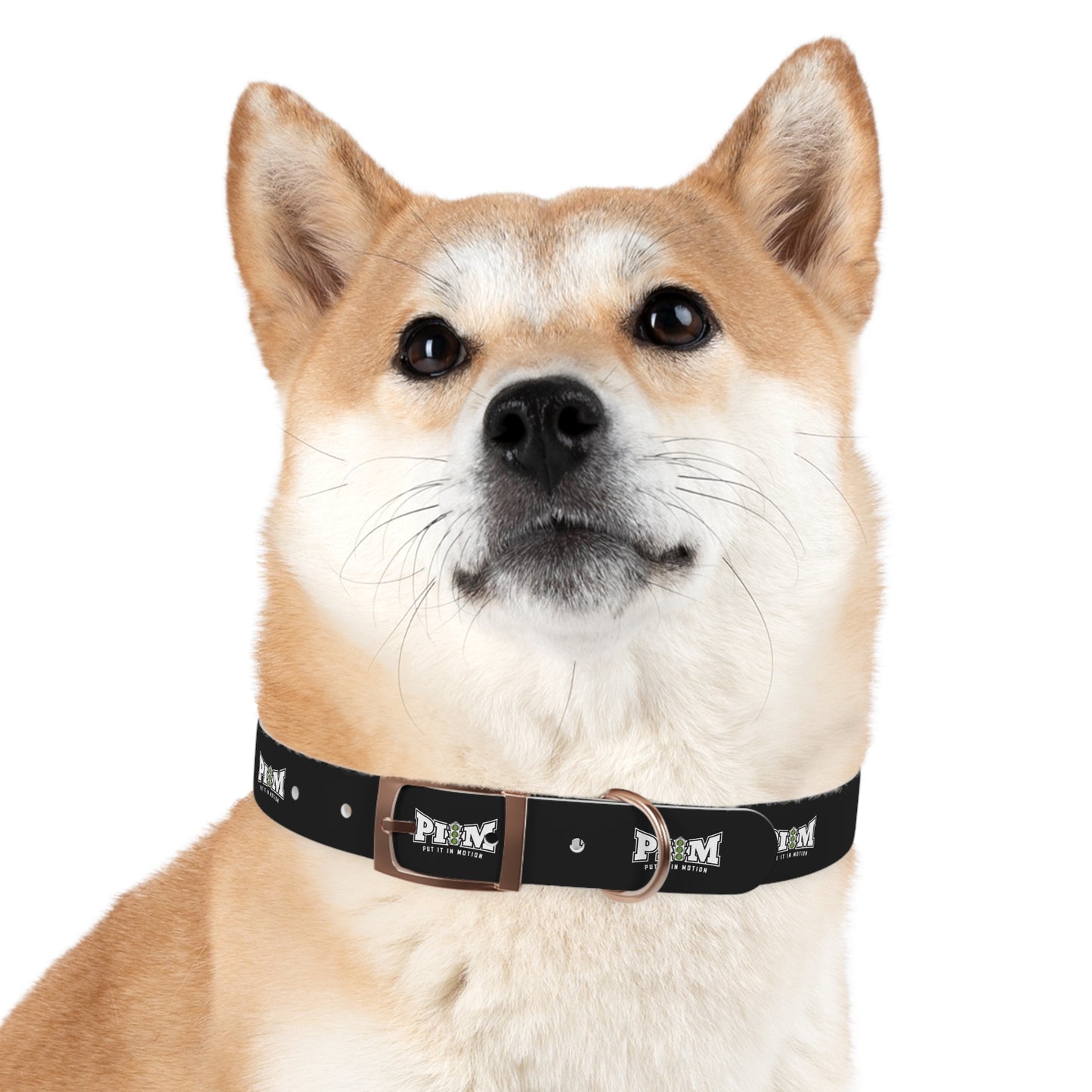 Put It In Motion Dog Collar