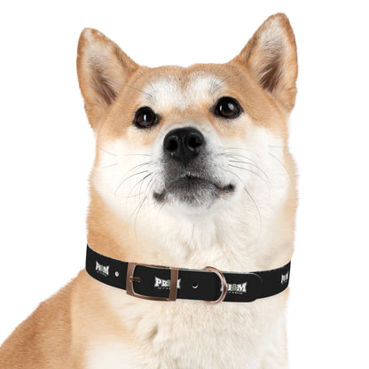 Put It In Motion Dog Collar