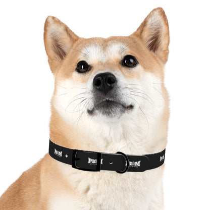 Put It In Motion Dog Collar
